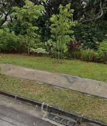 Chip Thye Garden (D20), Terrace #501889411